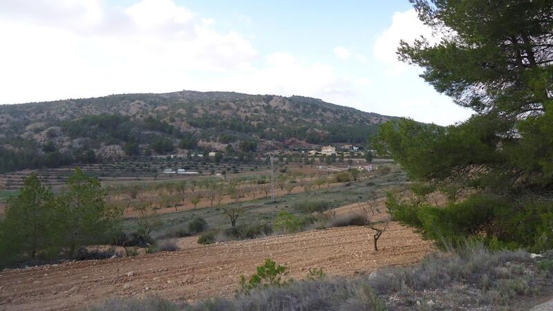 Jord til salg i Pinoso, Alicante