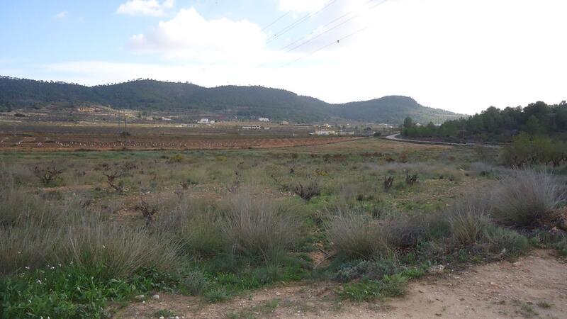 Terrenos en venta en Pinoso, Alicante