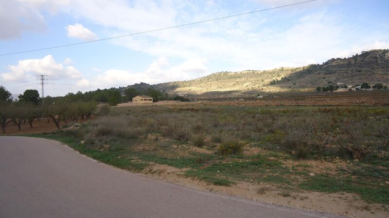 Terrenos en venta