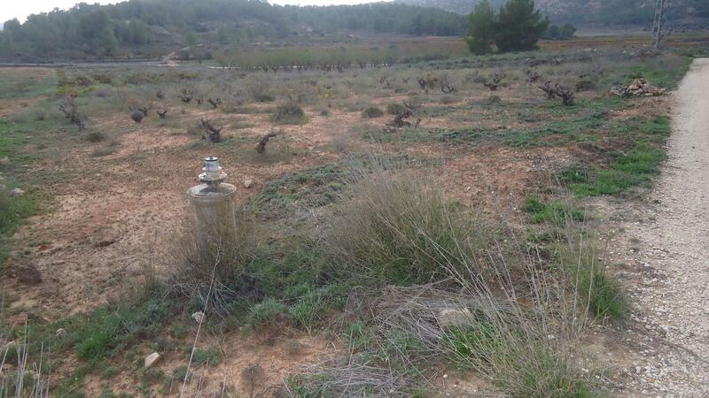 Terrenos en venta