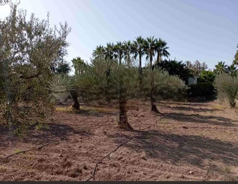 3 slaapkamer Villa Te koop