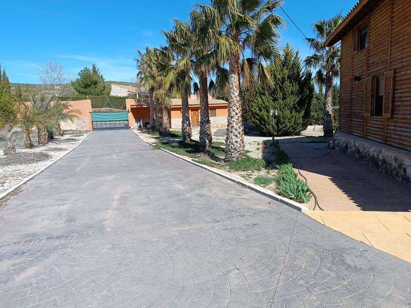 7 chambre Villa à vendre