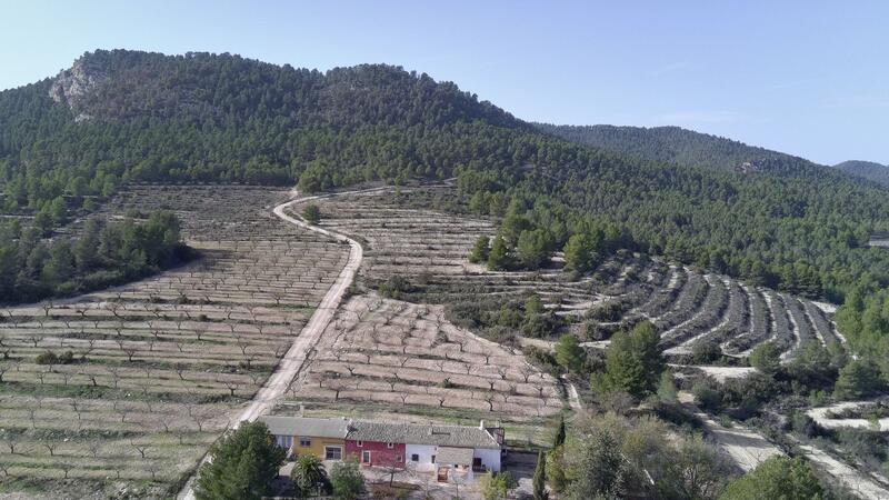 Деревенский Дом продается в Murcia, Murcia