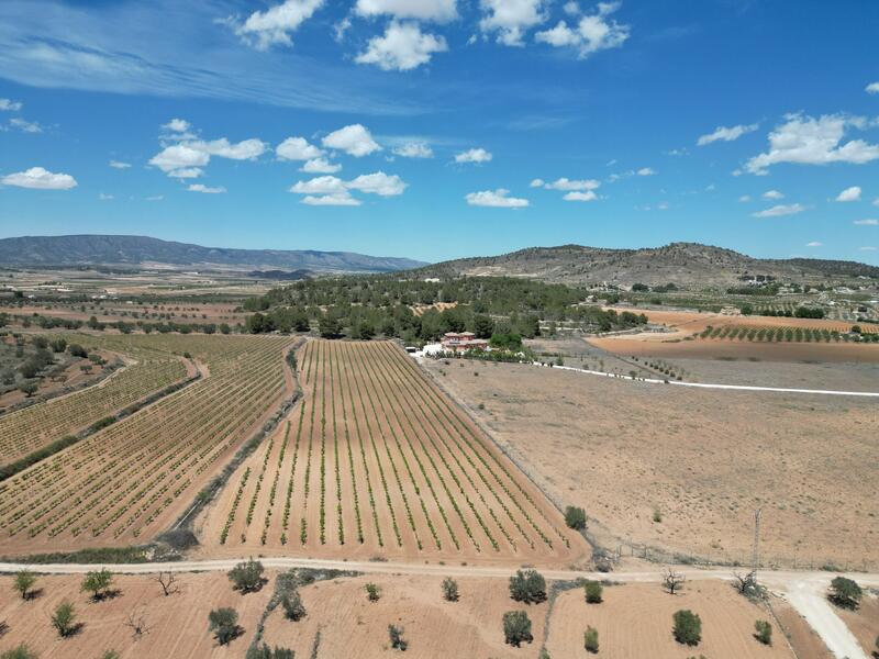 Land for sale