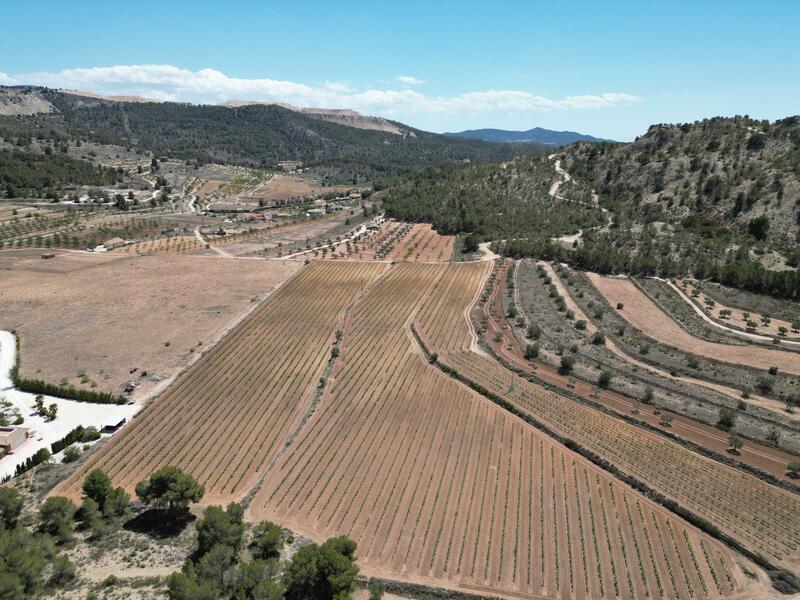 Land for sale