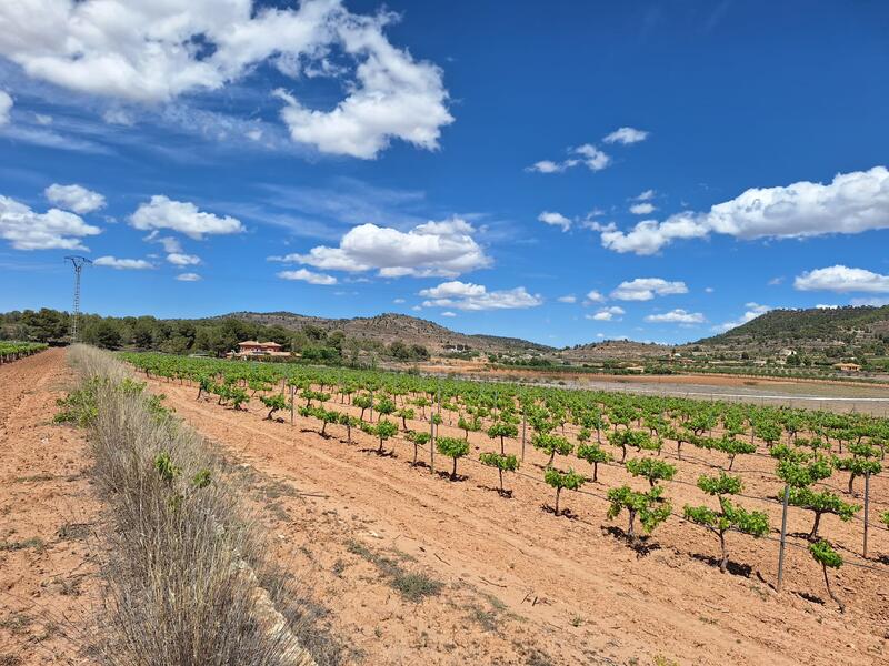 Land for sale