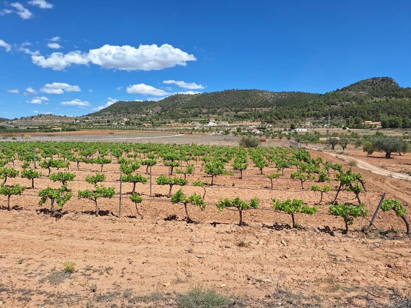 Land for sale