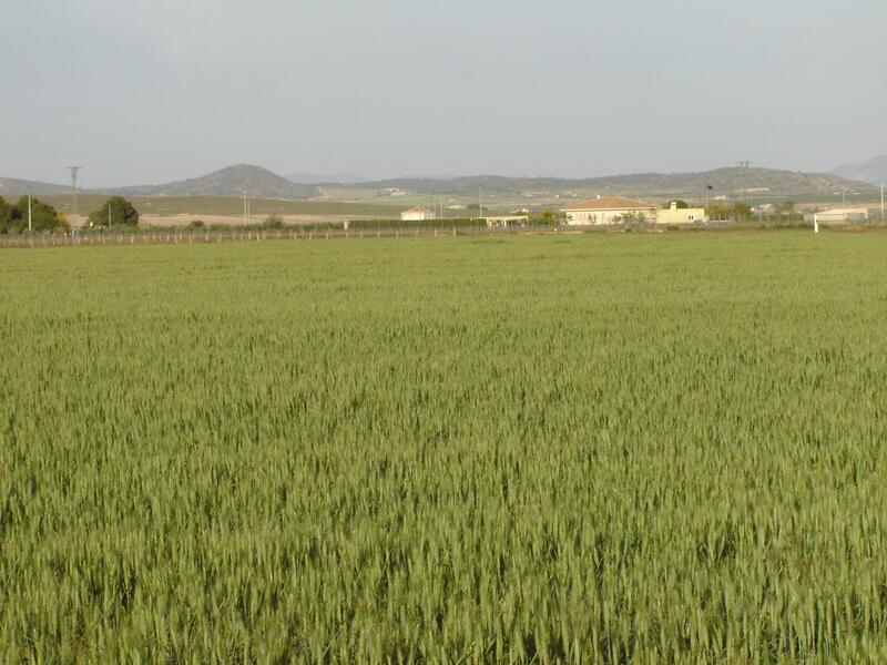 Terrenos en venta