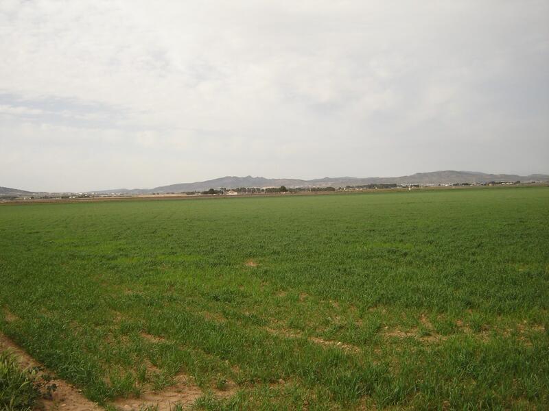 Terrenos en venta