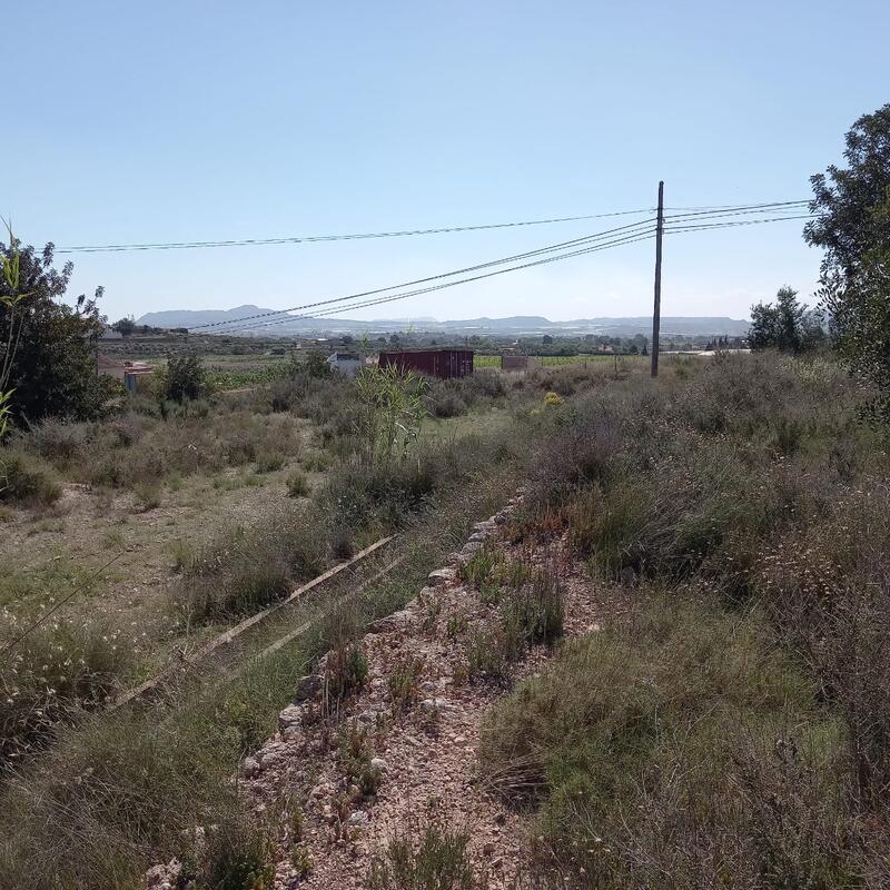 Land Te koop in Novelda, Alicante