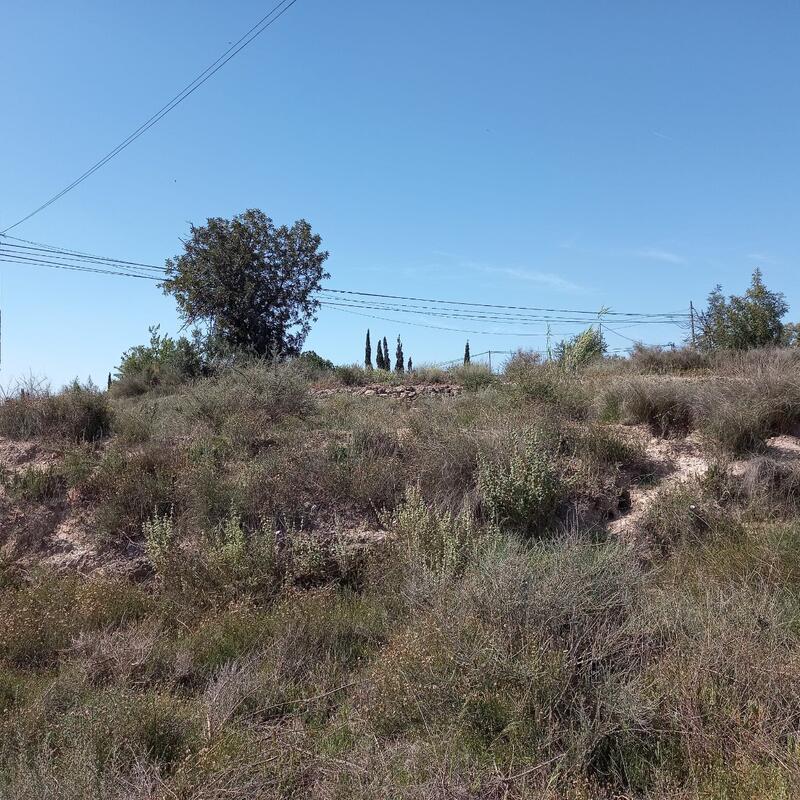 Land for sale