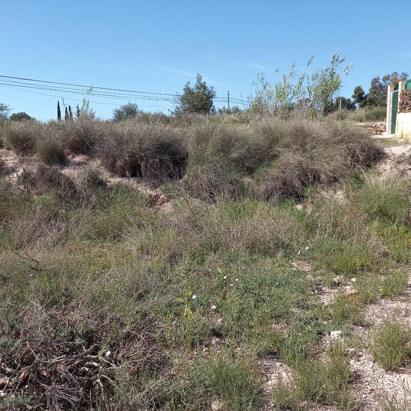 Land for sale