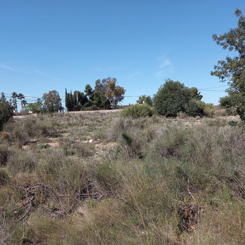 Land for sale
