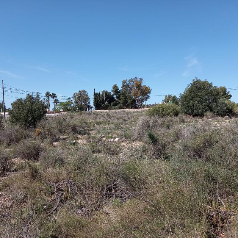 Land for sale