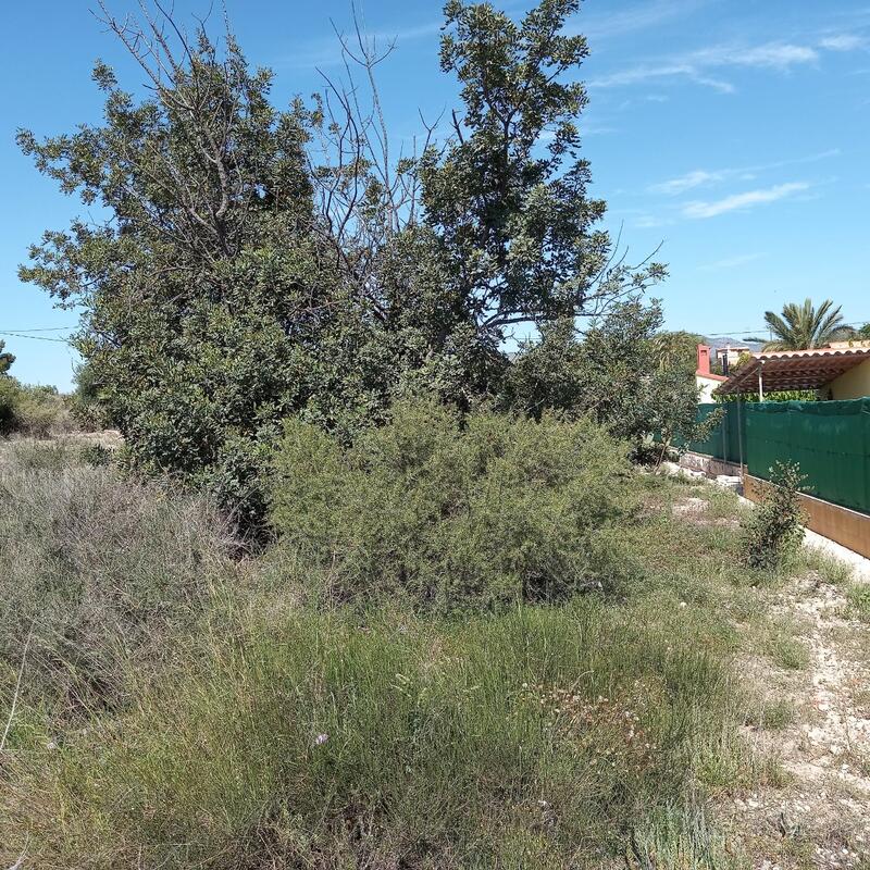 Land for sale
