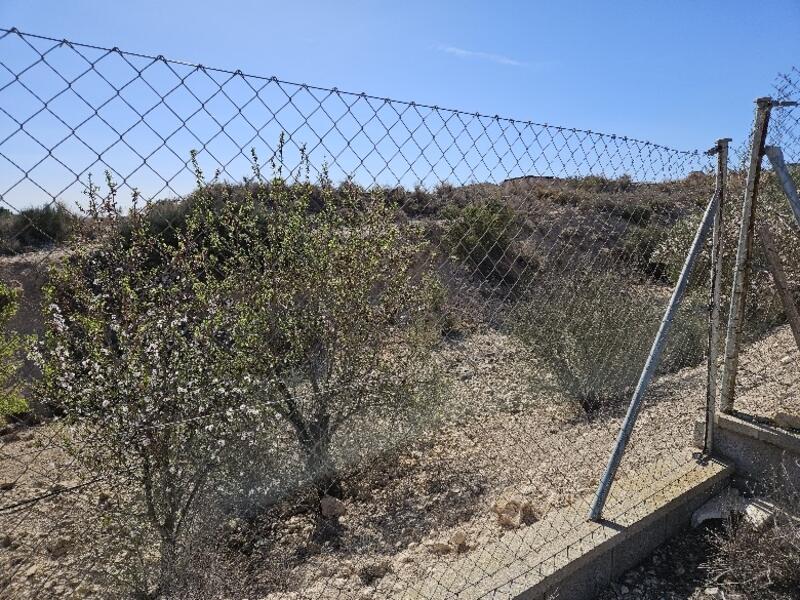 Terrenos en venta