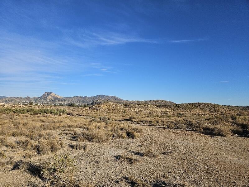 Land for sale in Elda, Alicante
