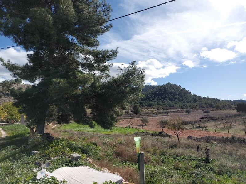 3 Cuarto Casa de Campo en venta
