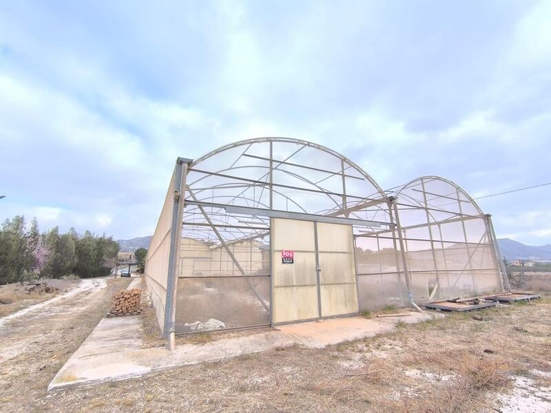 Local Commercial à vendre dans Aspe, Alicante