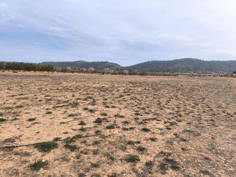 Land for sale
