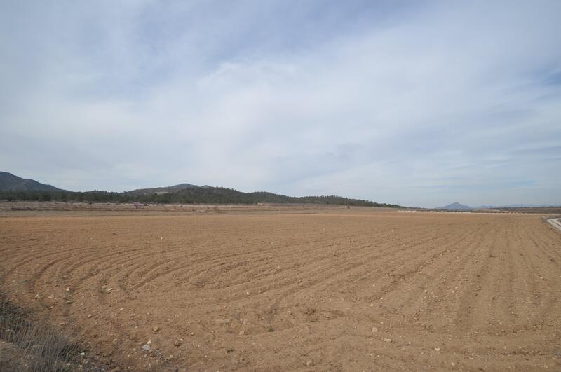 Land Te koop in Monóvar, Alicante