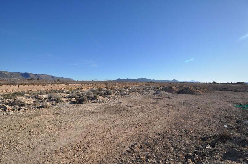 Land til salgs i Pinoso, Alicante