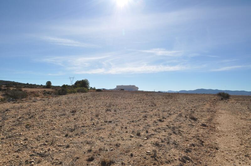 Land for sale