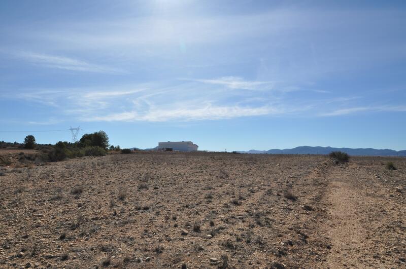 Land for sale