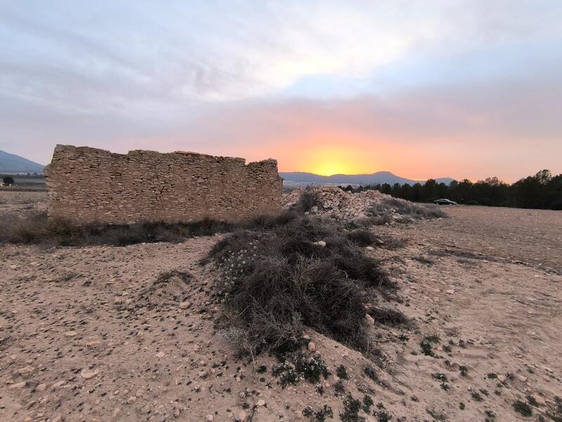 Landsted til salg i Yecla, Murcia
