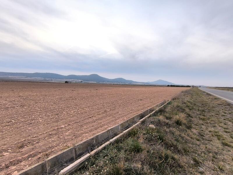 Land for sale in Yecla, Murcia