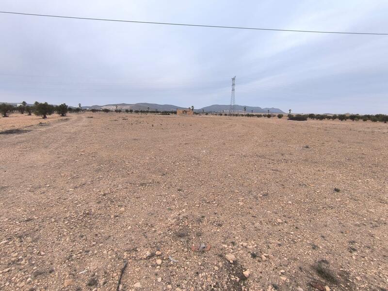 Land for sale