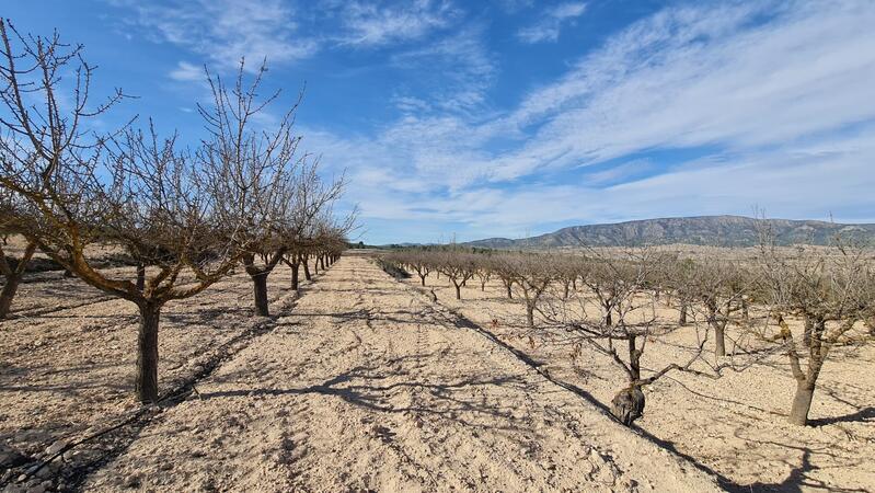 Terrenos en venta