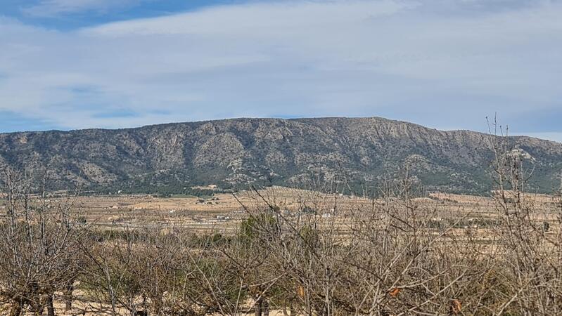 Terrenos en venta
