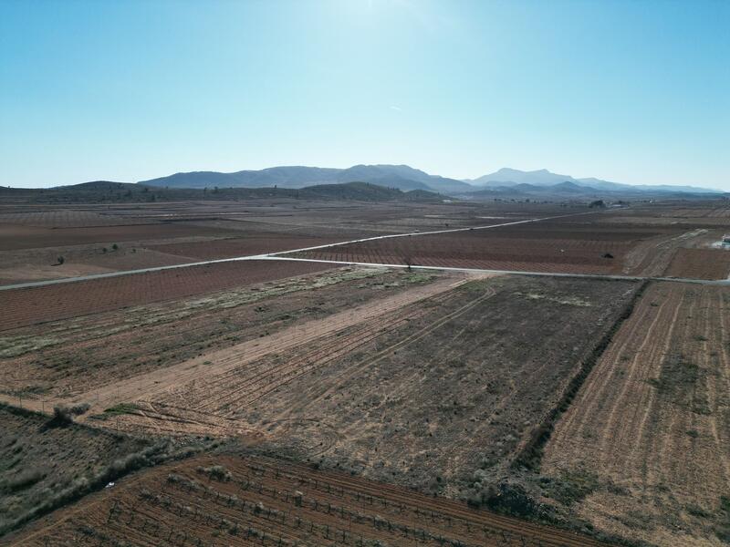 Terrenos en venta