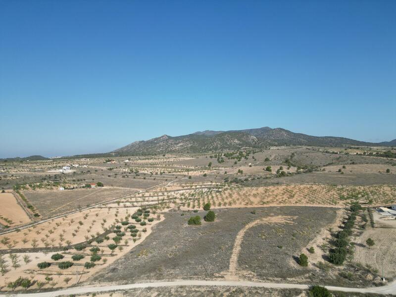 Land for sale in Pinoso, Alicante