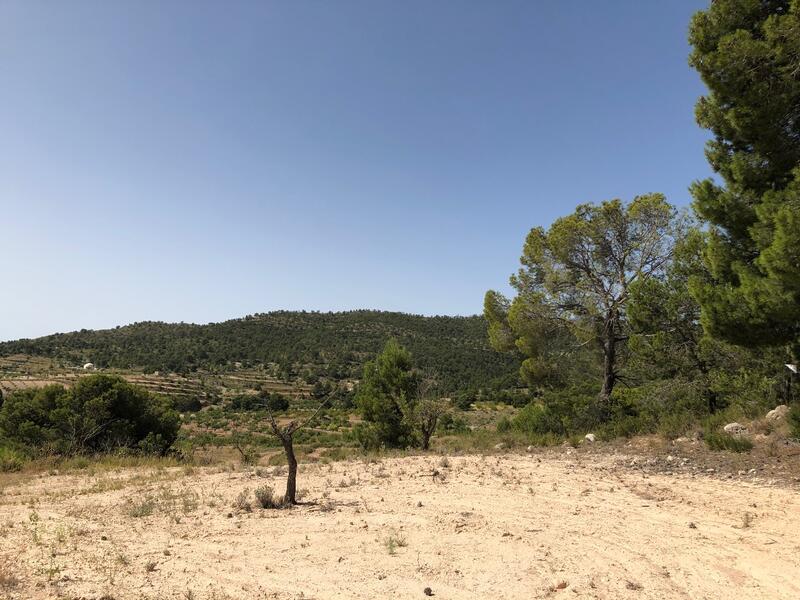 Terrenos en venta