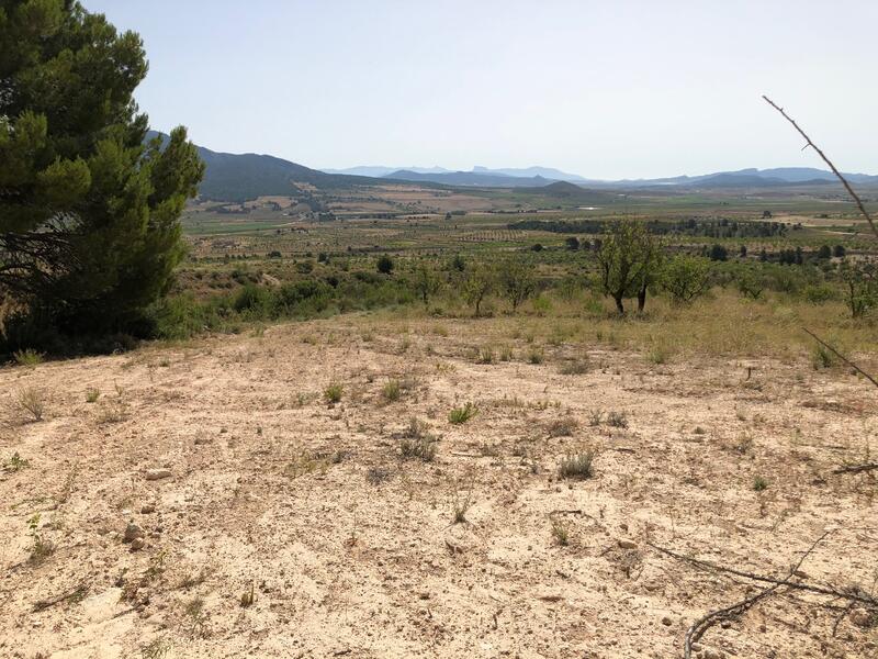 Terrenos en venta