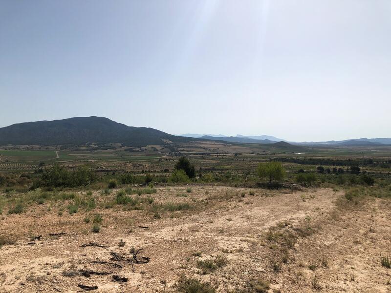Terrenos en venta