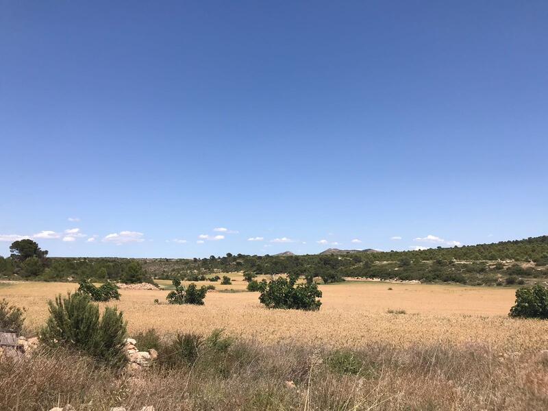 1 Cuarto Casa de Campo en venta