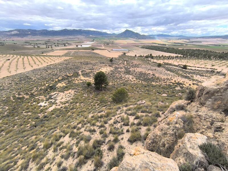 Jord til salg i Yecla, Murcia