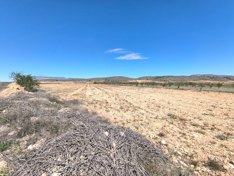 Terrenos en venta