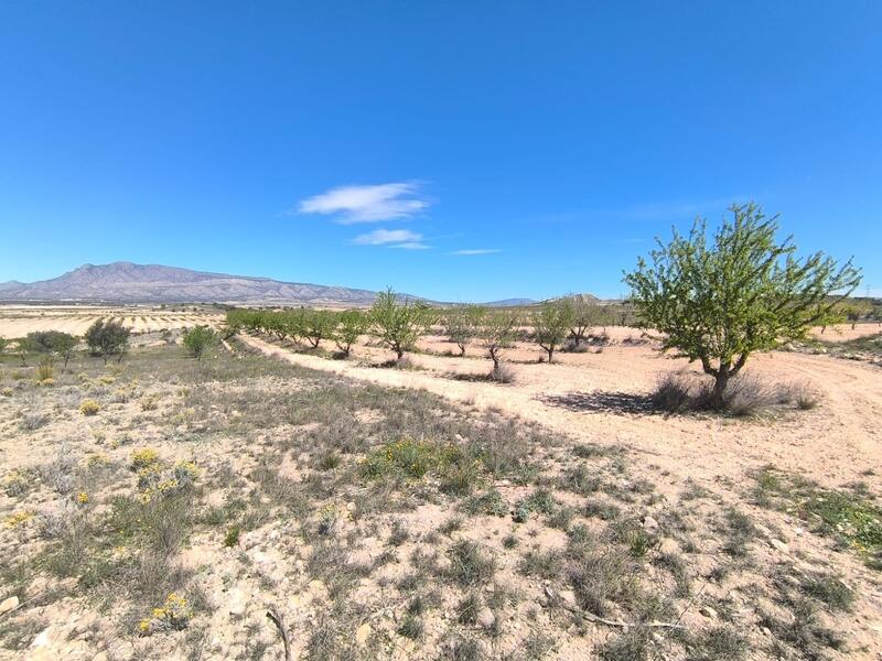 Land Te koop in Jumilla, Murcia