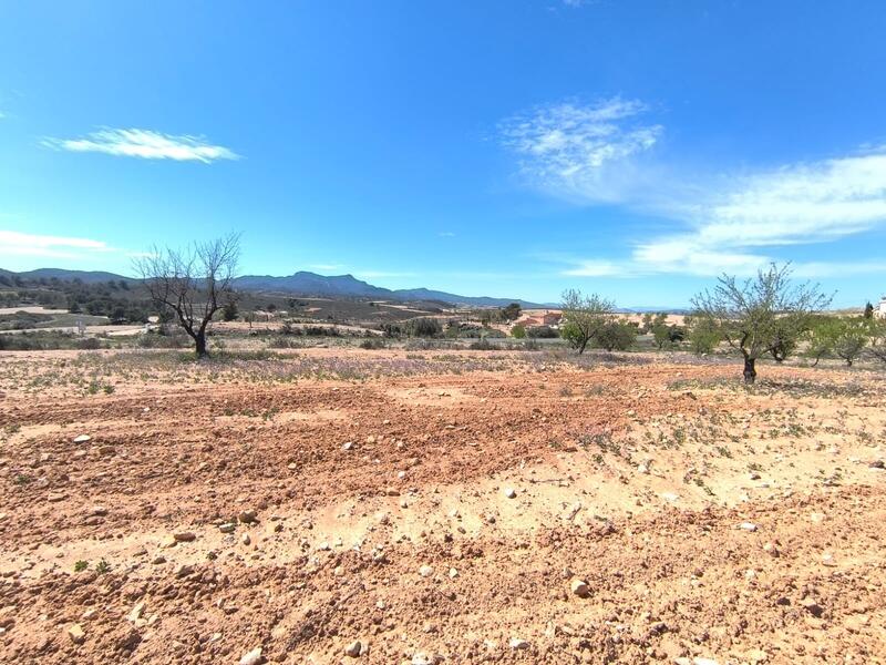 Land til salgs i Jumilla, Murcia
