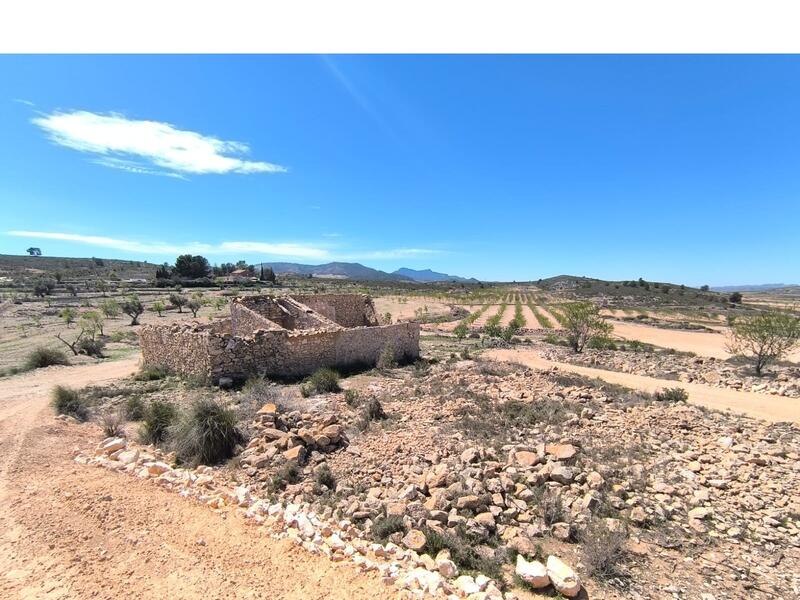 Herregård til salgs i Pinoso, Alicante