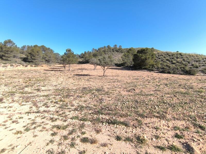 Land for sale