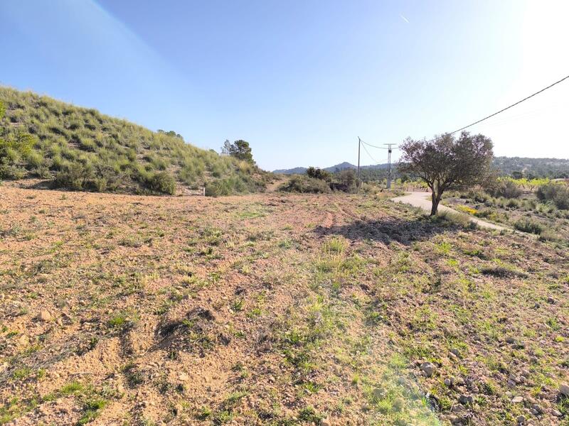 Land for sale