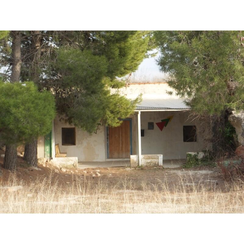 Grottehuset til salgs i Pinoso, Alicante