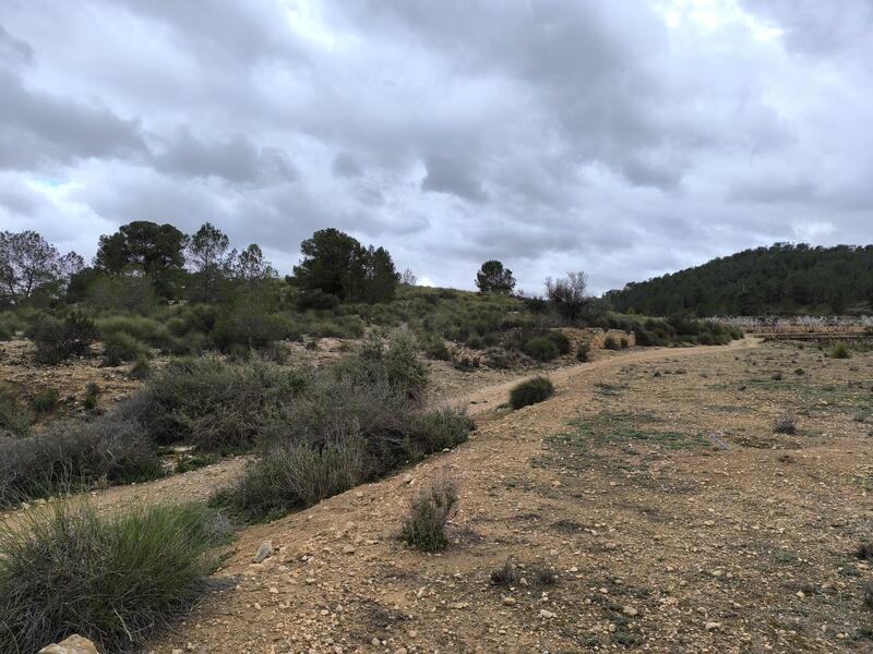 Terrenos en venta