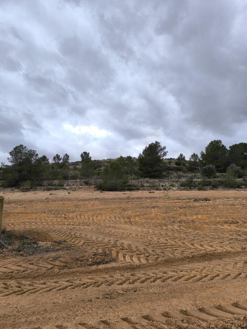 Terrenos en venta