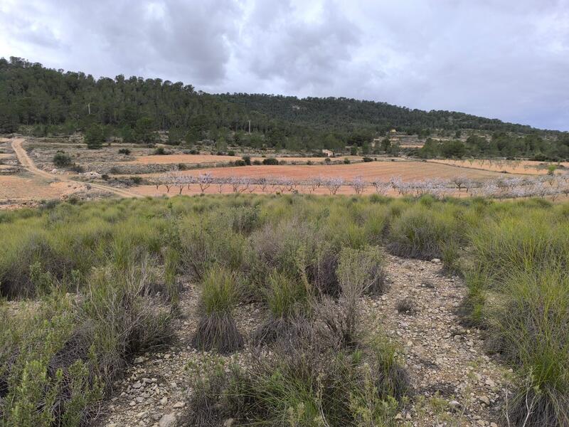 Terrenos en venta